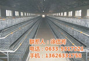 肉鸡养殖鸡笼,煜鑫畜牧,肉鸡养殖鸡笼加工厂