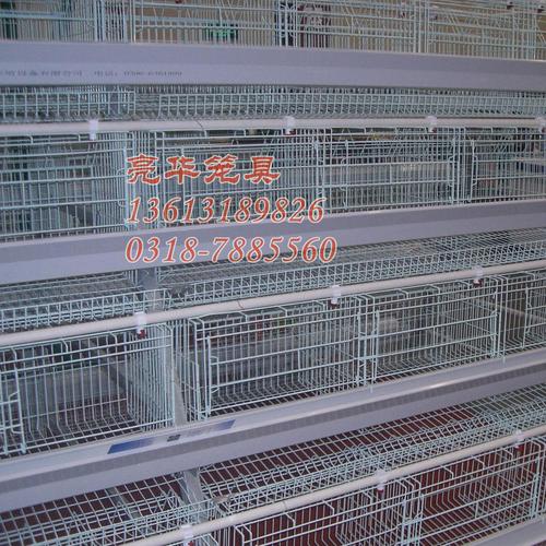 鸡笼鸽笼兔笼子母兔笼商品兔笼蛋鸡笼