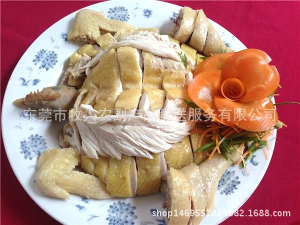 批发广东三黄鸡 冷鲜三黄鸡 味道鲜美 特价供应 高品质 - 中国养殖